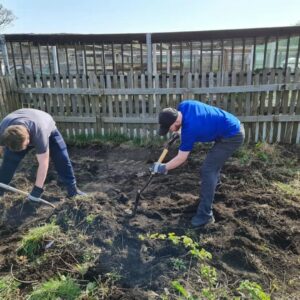 Allotment_gallery (1)