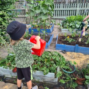 Allotment_gallery (3)