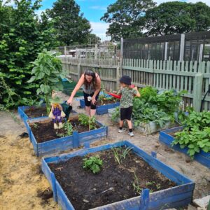 Allotment_gallery (4)