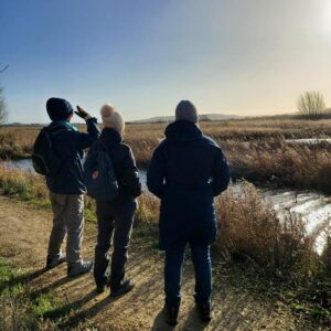 walkntalk (2)