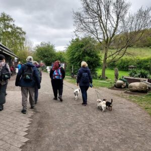 walkntalk (3)