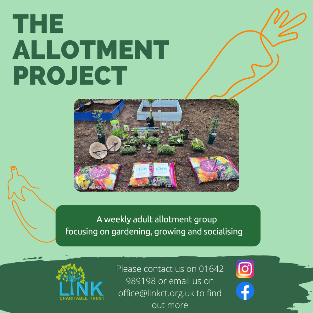 Allotment Project side 1 (Instagram Post)